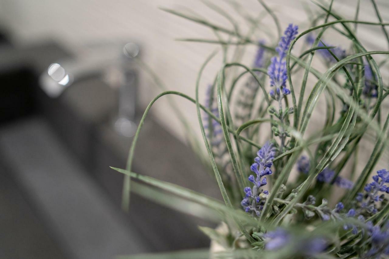 Anna & Alfredo Bed And Breakfast Zafferana Etnea Εξωτερικό φωτογραφία