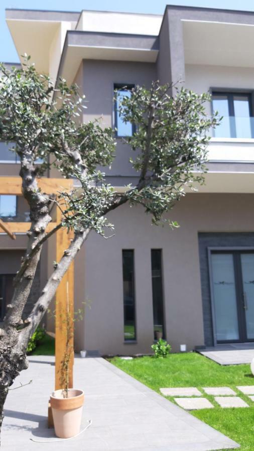 Anna & Alfredo Bed And Breakfast Zafferana Etnea Εξωτερικό φωτογραφία