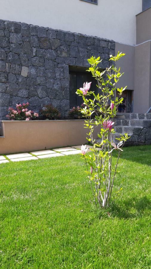 Anna & Alfredo Bed And Breakfast Zafferana Etnea Εξωτερικό φωτογραφία